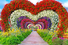 Dubai Miracle Garden